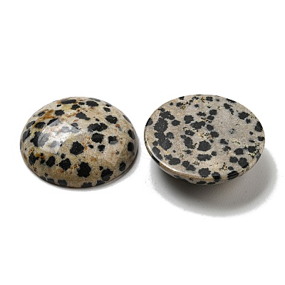 Natural Dalmatian Jasper Cabochons G-C115-02B-21-1