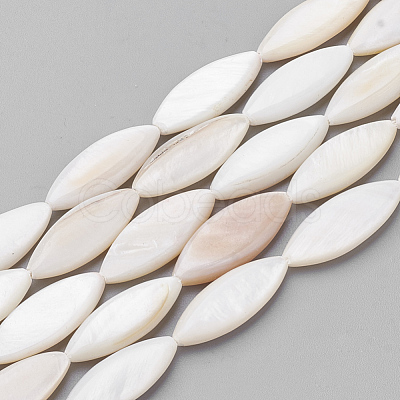 Natural Shell Beads Strands PBB220Y-1-1