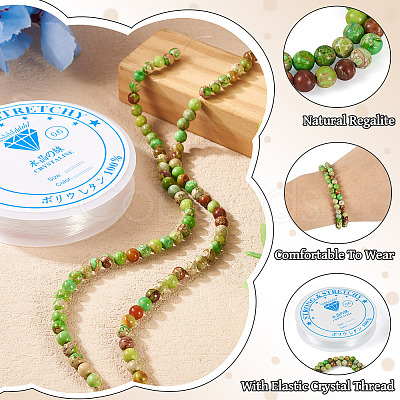 DIY Natural Regalite/Imperial Jasper/Sea Sediment Jasper Beads Bracelets Making KIts DIY-TA0002-69D-1