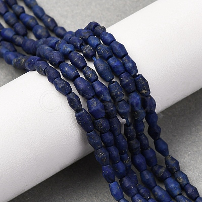 Natural Lapis Lazuli Beads Strands G-F808-J01-01-1
