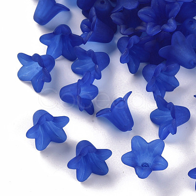 Transparent Acrylic Beads PLF018-10-1