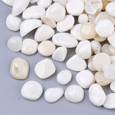 Sea Shell Beads SSHEL-S258-71-1