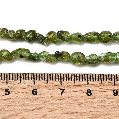 Natural Peridot Beads Strands G-P601-A01-01-1