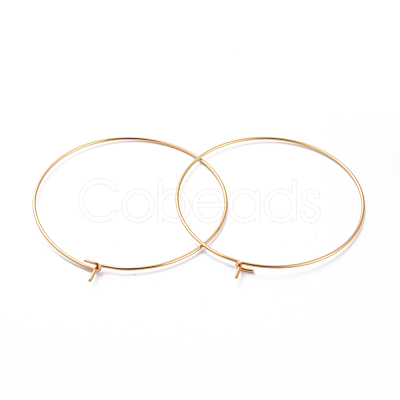 316 Surgical Stainless Steel Hoop Earring Findings X-STAS-J025-01F-G-1