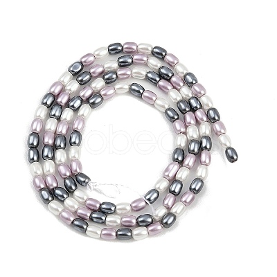 Electroplated Shell Pearl Beads Strands BSHE-H113-06A-04-1