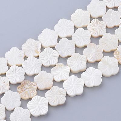 Natural Freshwater Shell Bead Strands SHEL-T001-A01-1