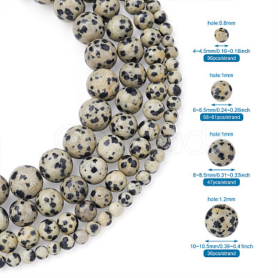 4 Strands 4 Style Natural Dalmatian Jasper Beads Strands G-YS0001-06-1