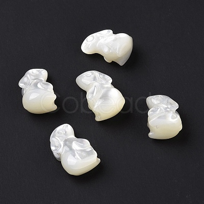 Natural White Shell Beads BSHE-H016-02-1