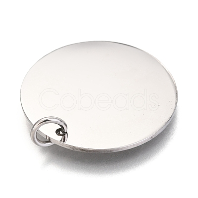 Non-Tarnish 304 Stainless Steel Charms EJEW-L238-03F-P-1