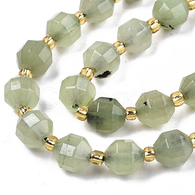 Natural Prehnite Beads Strands G-T131-78A-1