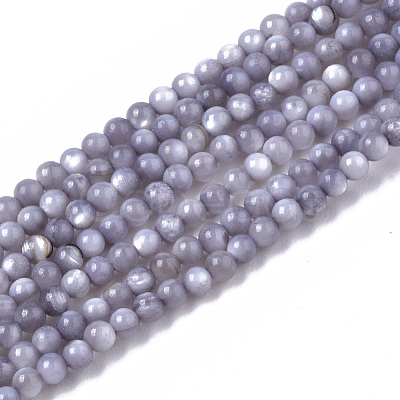 Natural Freshwater Shell Beads Strands BSHE-T009-01A-1