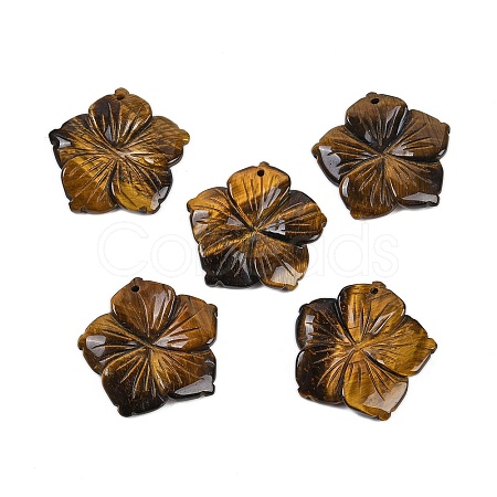 Natural Tiger Eye Carved Pendants G-B097-01A-07-1