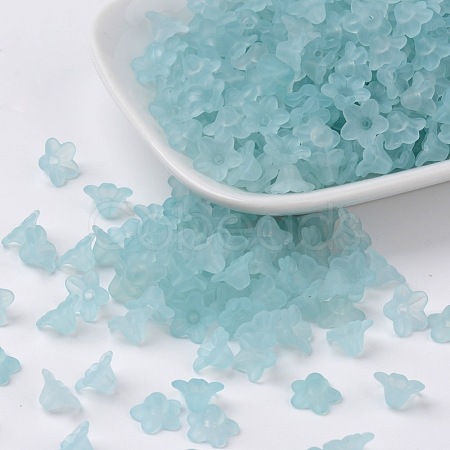 Transparent Acrylic Beads LS-X-PL554-11-1