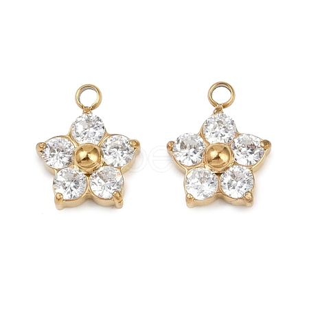 304 Stainless Steel Micro Pave Cubic Zirconia Charms STAS-B088-01G-02-1
