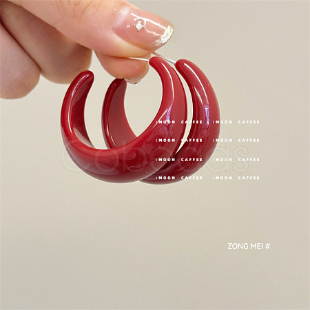 Resin Stud Earrings FS-WG7AFB5-03-1