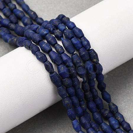 Natural Lapis Lazuli Beads Strands G-F808-J01-01-1