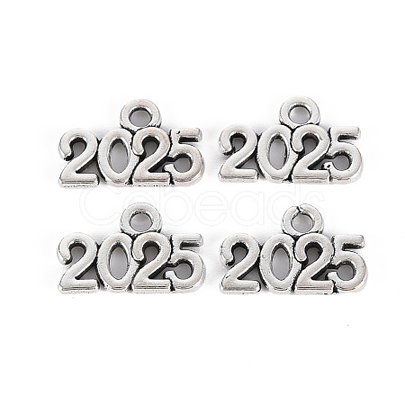 Tibetan Style Alloy Charms X-TIBE-S323-110AS-RS-1
