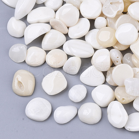 Sea Shell Beads SSHEL-S258-71-1