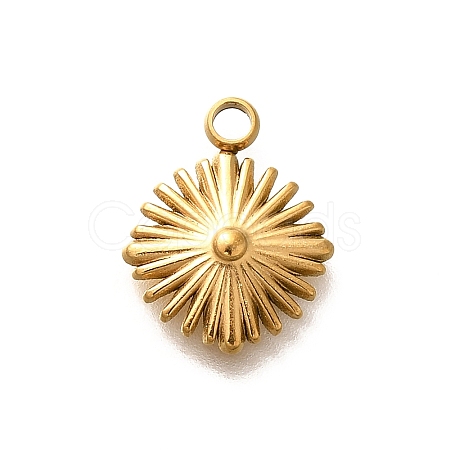 304 Stainless Steel Charms STAS-H165-22G-01-1