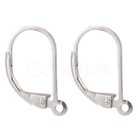 925 Sterling Silver Leverback Earring Findings STER-T002-227S-1