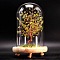 Natural Peridot Display Decoration, with Brass Wire, for Home Desk Decorations, Tree of Life Cloche Bell Jar, 80x130mm