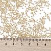 MIYUKI Round Rocailles Beads X-SEED-G009-RR0442-4