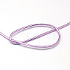 Anodized Aluminum Wire AW-S001-1.2mm-06-2
