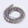 Natural Labradorite Beads Strands X-G-G212-8mm-23-2