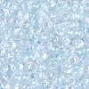 FGB Inside Colours Transparent Glass Seed Beads SEED-T009-01D-2