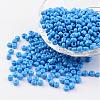 6/0 Baking Paint Glass Seed Beads X-SEED-S003-K17-1