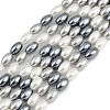 Electroplated Shell Pearl Beads Strands BSHE-H113-06C-02-1
