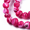 Natural Trochid Shell/Trochus Shell Beads Strands SSHEL-N032-48-A06-3
