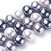 Shell Pearl Beads Strands BSHE-L035-E04-2