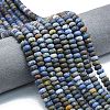 Natural Dumortierite Beads Strands G-P575-A48-8x5mm-1