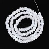 Frosted Transparent Glass Beads Strands GLAA-N054-4mm-01-2