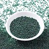 MIYUKI Round Rocailles Beads SEED-G007-RR0289-2