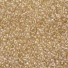 MIYUKI Round Rocailles Beads X-SEED-G008-RR0161-3