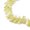 Electroplate Glass Beads Strands EGLA-S176-05A-B13-3