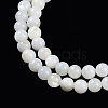 Natural Cultured Freshwater Shell Beads Strands BSHE-H109-03B-4