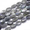 Natural Labradorite Beads Strands G-K223-62B-1