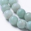 Round Natural Amazonite Bead Strands X-G-I183-02-8mm-3