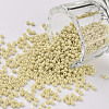 11/0 FGB Grade A Baking Paint Glass Seed Beads X-SEED-N001-A-1033-1