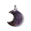Natural Amethyst Pendants G-Z022-04C-2