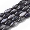 Natural Freshwater Shell Beads SHEL-R047-02-3