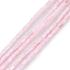 Natural Freshwater Shell Dyed Beads Strands X-SHEL-M018-12-09-1