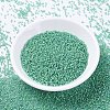 MIYUKI Delica Beads SEED-X0054-DB2053-2