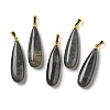 Natural Labradorite Pendants G-Q192-07G-06-1
