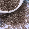 MIYUKI Round Rocailles Beads X-SEED-G007-RR0310-1