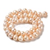 Natural Cultured Freshwater Pearl Beads Strands PEAR-E018-26-2