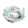 Natural Fluorite Beads Strands G-S331-8x10-007-2
